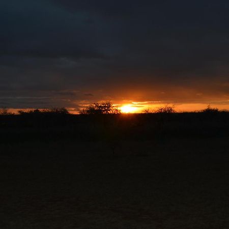 Wild Amboseli Ndovu Cottage. Dış mekan fotoğraf
