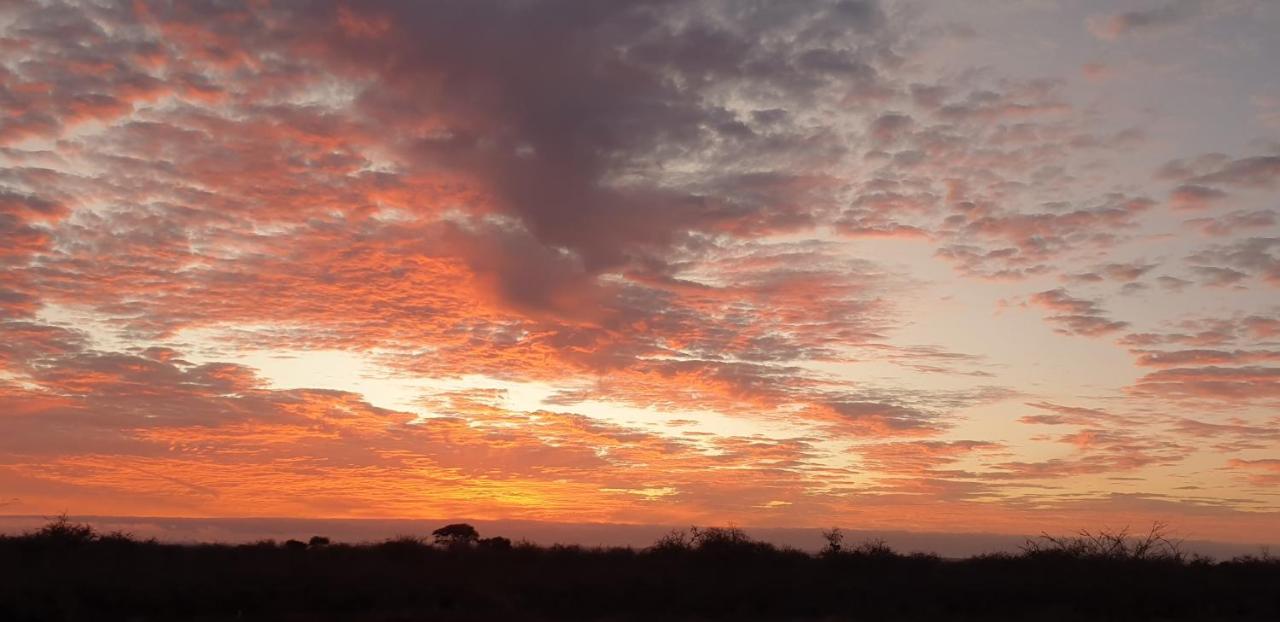 Wild Amboseli Ndovu Cottage. Dış mekan fotoğraf