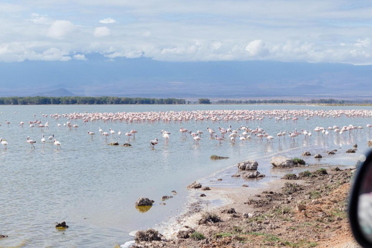 Wild Amboseli Ndovu Cottage. Dış mekan fotoğraf