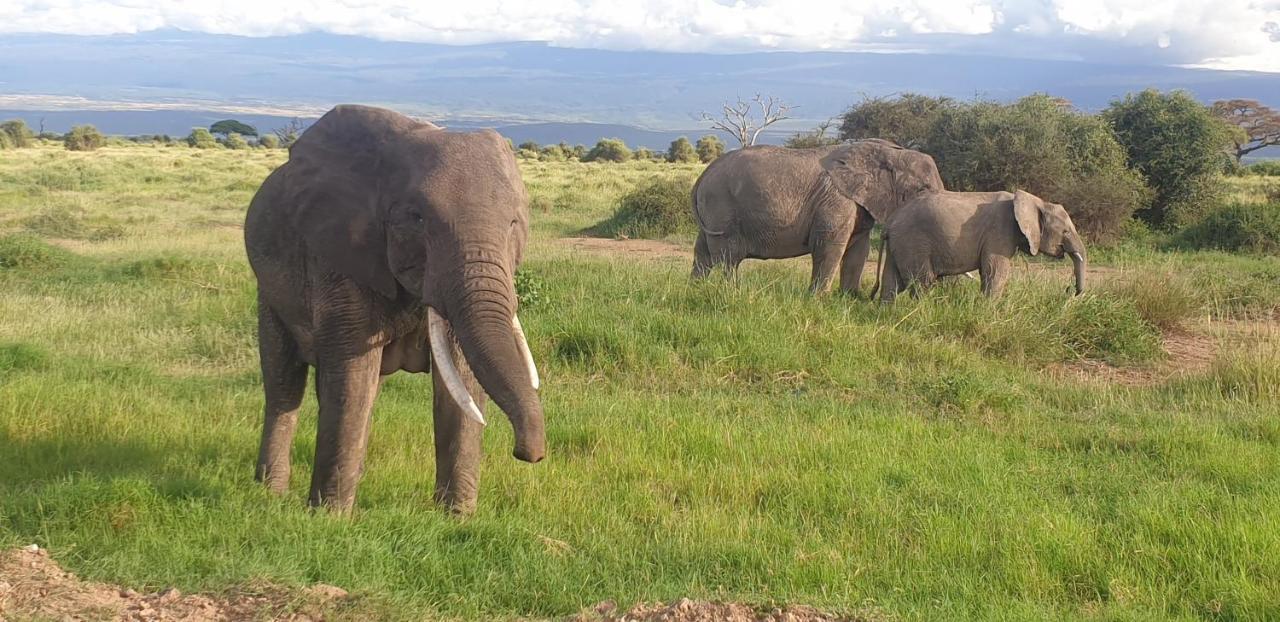 Wild Amboseli Ndovu Cottage. Dış mekan fotoğraf