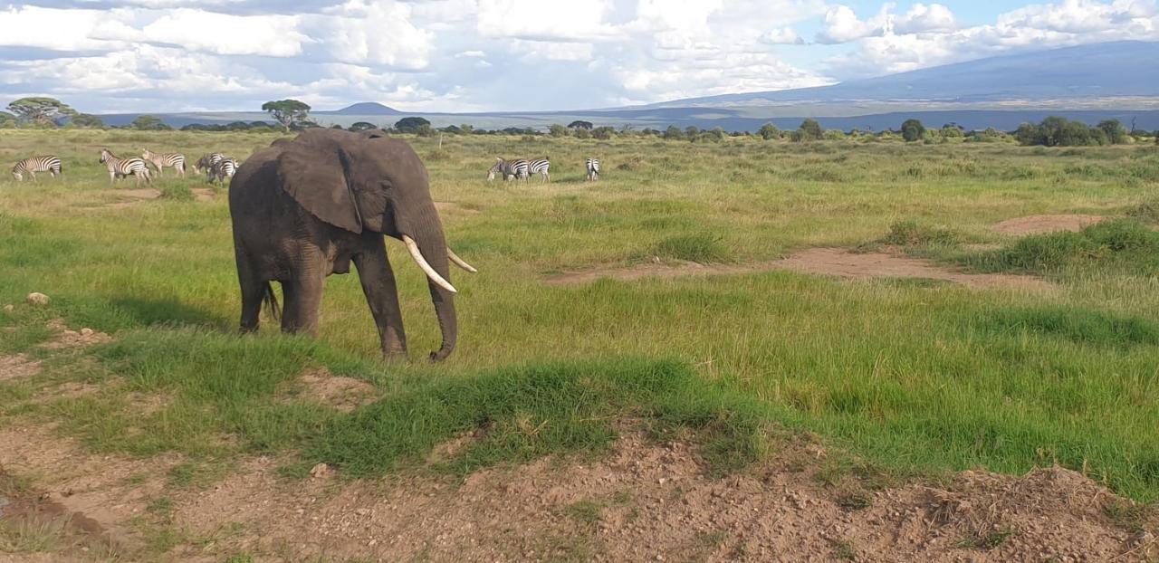 Wild Amboseli Ndovu Cottage. Dış mekan fotoğraf