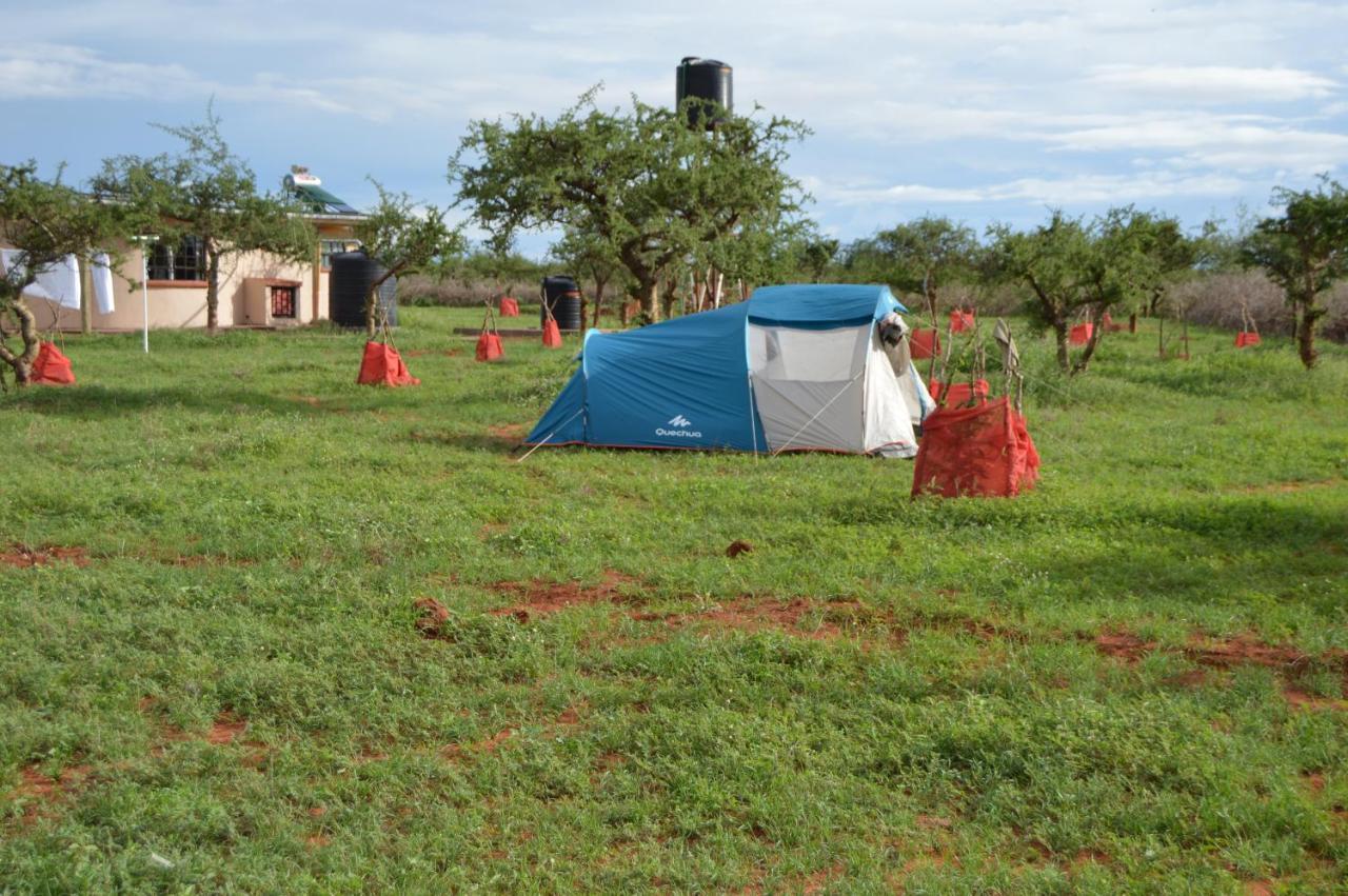 Wild Amboseli Ndovu Cottage. Dış mekan fotoğraf