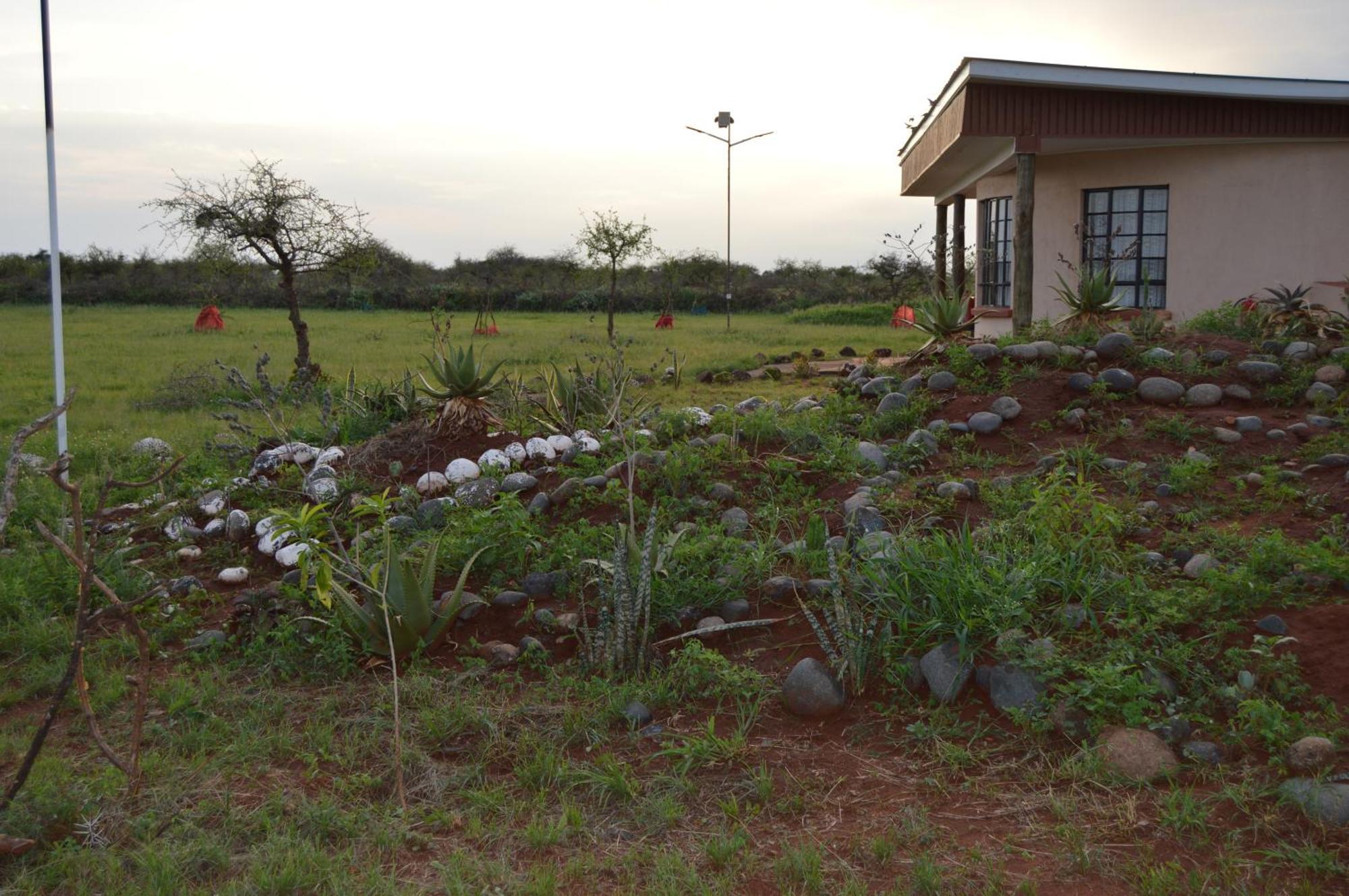 Wild Amboseli Ndovu Cottage. Dış mekan fotoğraf