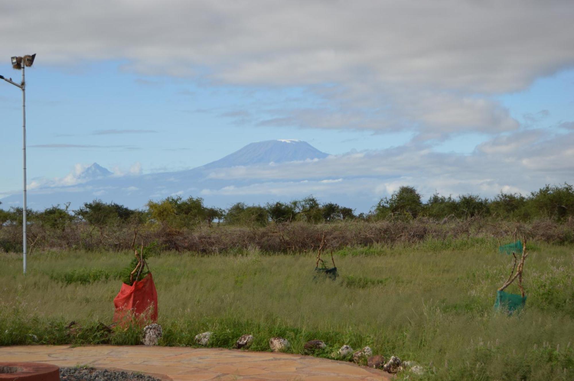 Wild Amboseli Ndovu Cottage. Dış mekan fotoğraf