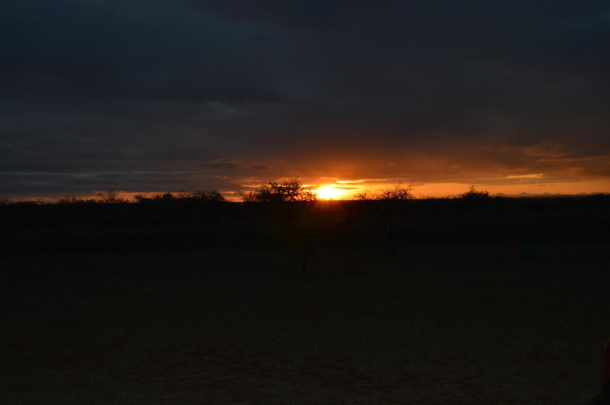 Wild Amboseli Ndovu Cottage. Dış mekan fotoğraf