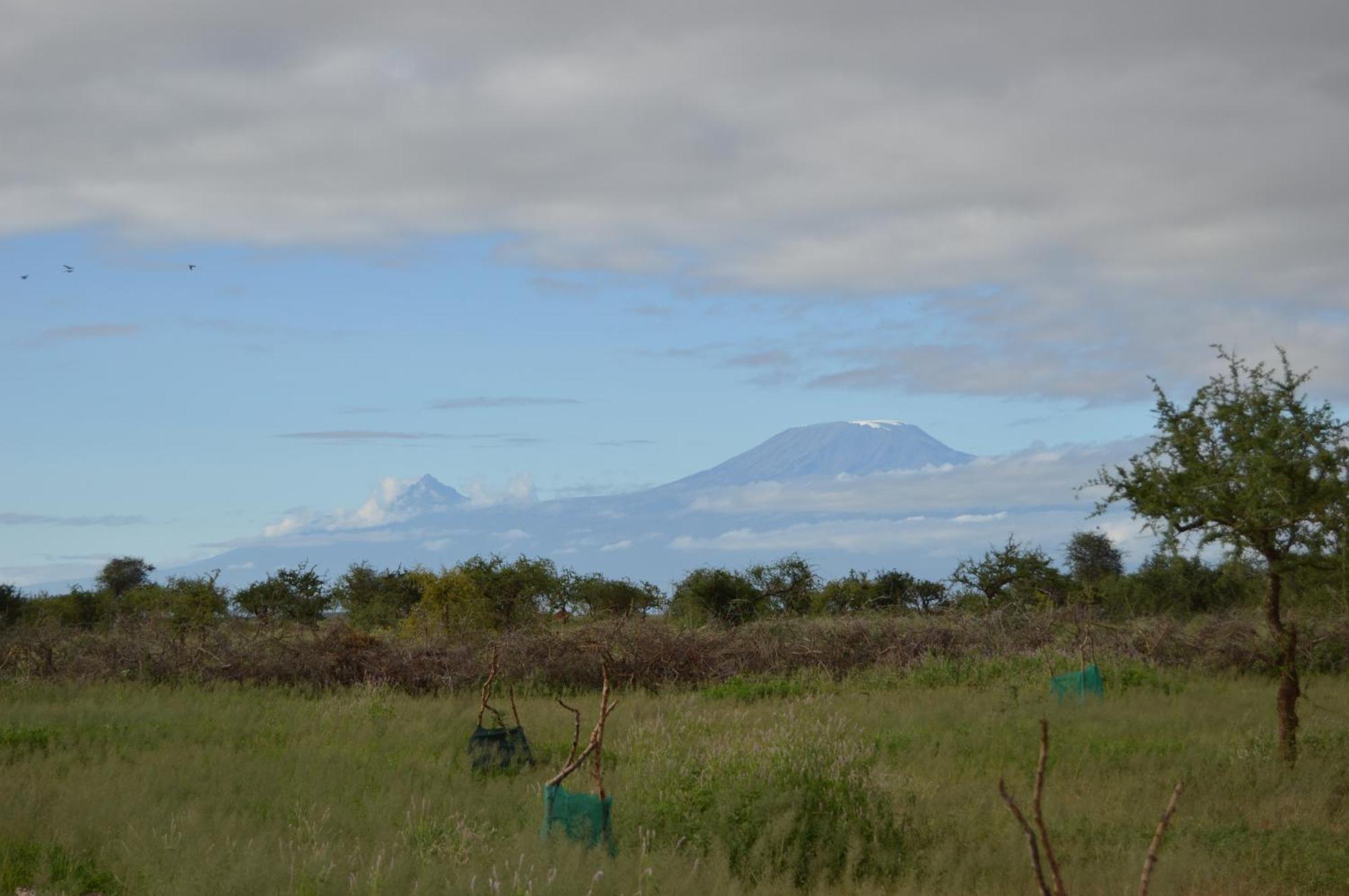 Wild Amboseli Ndovu Cottage. Dış mekan fotoğraf